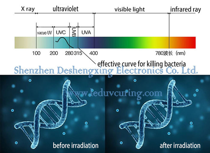 Hand-held UV LED Disinfectant Apparatus for Sterilization Portable UVC LED Lamp Killing Bacteria